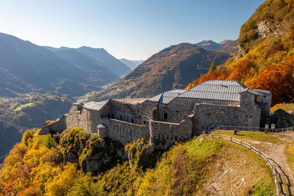 Andrea Zanchi Forte Corno